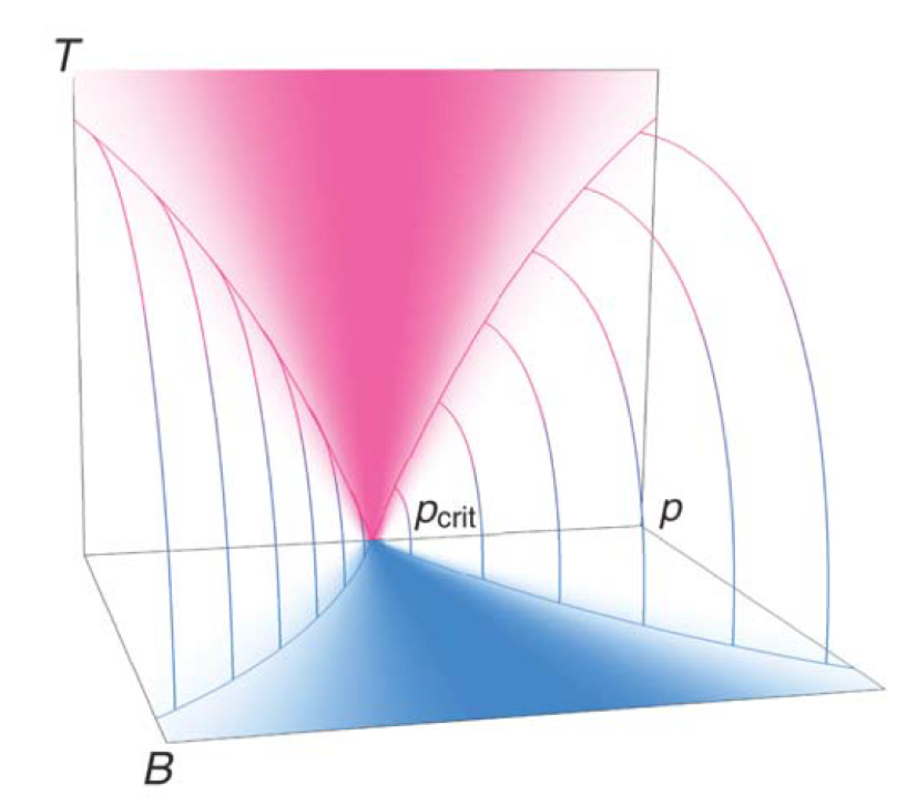 QuantumCritical