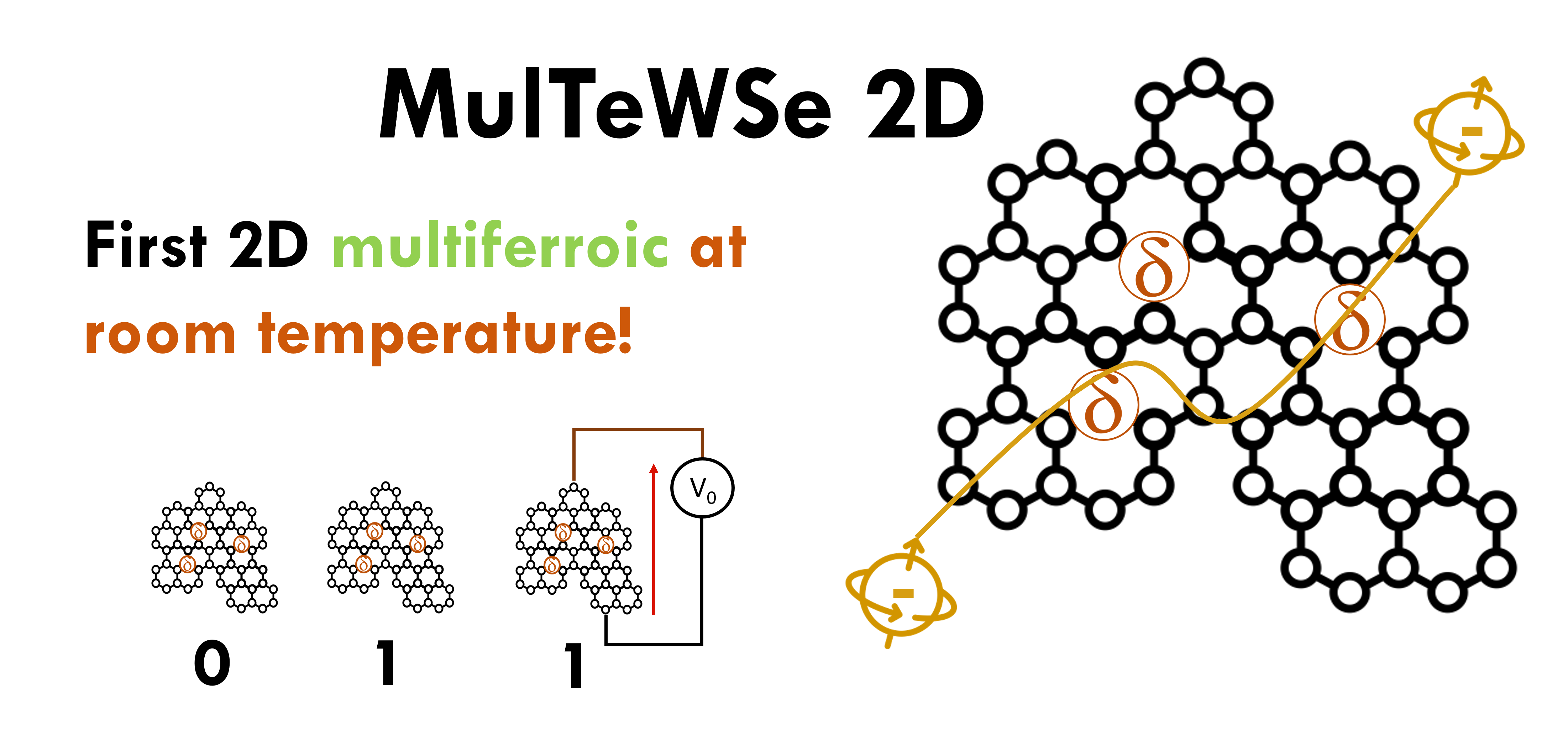 MulTeWSe2D 7